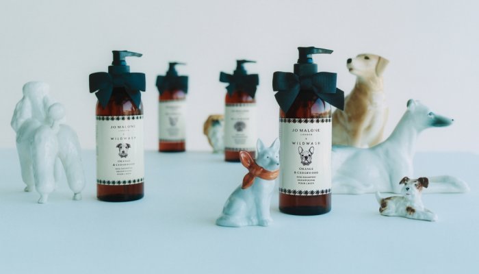 Jo Malone estreia no mercado de cuidados para pets com a WildWash