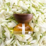 Estée Lauder faz investimento minoritário na marca mexicana de fragrâncias Xinú (Foto: Xinú)