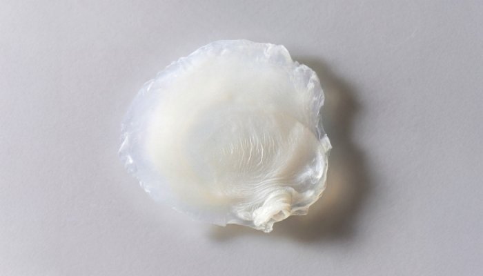 Avon desenvolve primeira pele bioimpressa que reproduz efeitos da menopausa