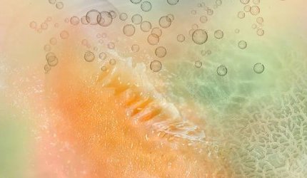 A Givaudan lança um precursor de fragrância para cuidados capilares