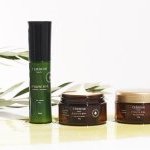Produtos da Terroir Beauty são formulados com azeite de oliva brasileiro