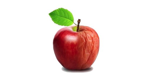 Skin ageing mechanisms are increasingly better determined