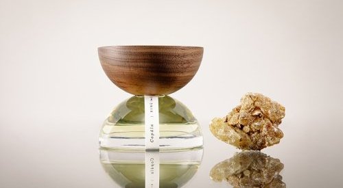 Estée Lauder faz investimento minoritário na marca mexicana de fragrâncias Xinú