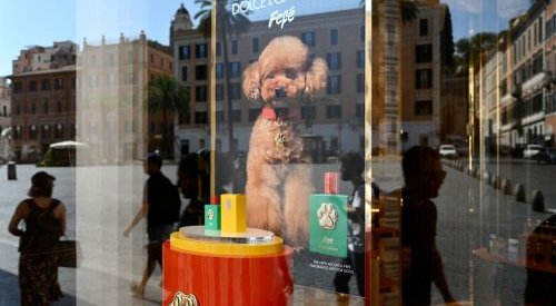 Dolce & Gabbana lança perfume para cães por mais de US$ 100