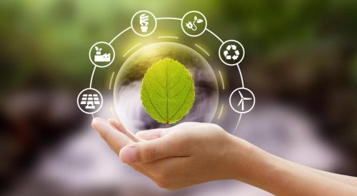 Gigantes do setor de cosméticos se unem para criar sistema de rating ambiental