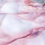 A alga da neve (Coenochloris signiensis) è um organismo unicelular capaz de sobreviver em temperaturas próximas de 0 °C. Ela prospera em ambientes alpinos e polares, onde a neve permanece ao longo de todo o ano (Foto: Mibelle Biochemistry)