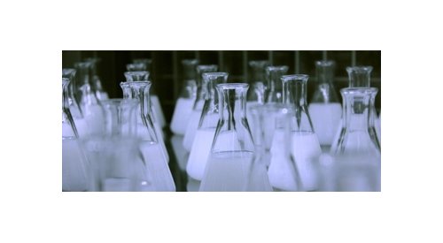 Deinove e Greentech desejam comercializar ingredientes cosméticos derivados de bactérias