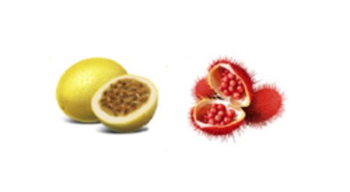 Beraca lança painel de óleos naturais