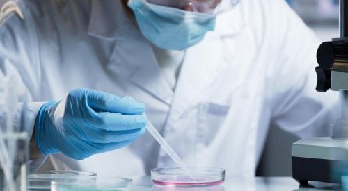 OCDE aprova testes toxicológicos alternativos desenvolvidos pela BASF e Givaudan