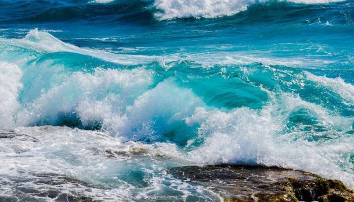 Givaudan: um ativo marinho diminui manchas escuras em diversos tipos de pele