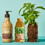 Grandes marcas de CPG, incluindo L'Oréal - com a marca Seed Phytonutrients, contam com a eco.bottle® da Ecologic para reduzir significativamente embalagens plásticas e avançar em seus objetivos de sustentabilidade.