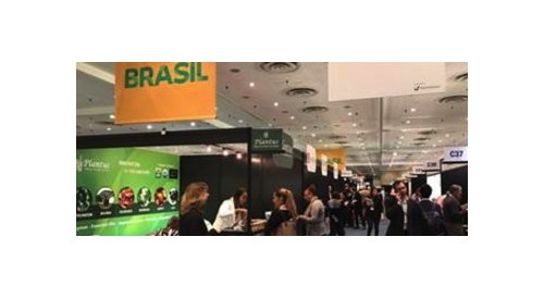 in-cosmetics North America: Beautycare Brazil projeta bons resultados em Nova Iorque