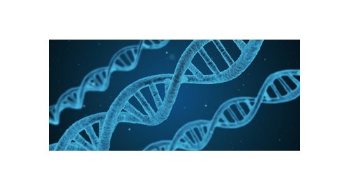 "The use of natural cosmetic ingredients requires new traceability tools," Nicole Giraud, DNA Gensee