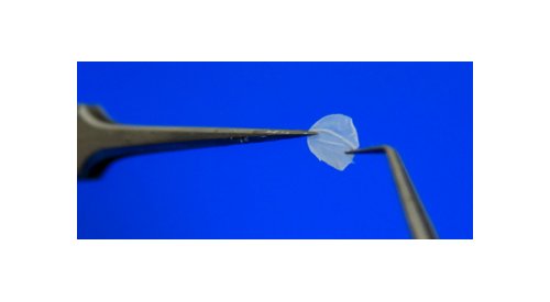 L'Oréal Brasil abre primeiro laboratório de pele humana reconstruída das Américas