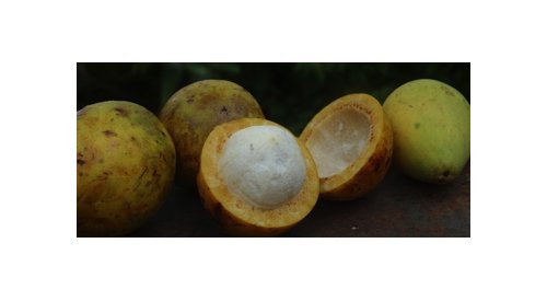 Beraca unveils new natural ingredient for mature skin