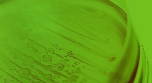 Apoena Biotech fecha acordo com Greenact para distribuição no Brasil