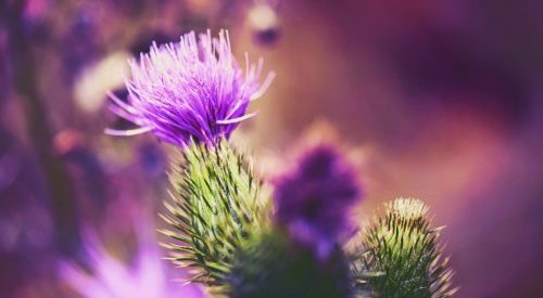 Givaudan Active Beauty: uma alternativa ao retinol com alta tolerância cutânea