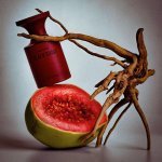 Perfumaria coreana de nicho BornToStandOut chega ao Brasil com dez fragrâncias (Foto: BornToStandOut)