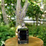 Aramis celebra sua nova fragrância durante a Semana de Moda de Nova York (Foto: Courtesy of BFA)