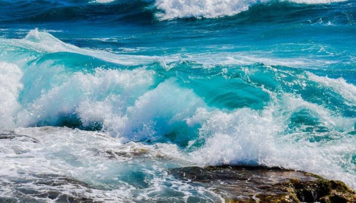 63ea2e1885ef7d740bfe4ae120784b.jpg?1604674796&profile=RESIZE_710x