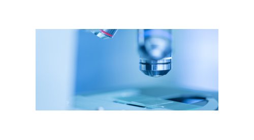 Bioimpressão 3D de tecidos cutâneos: técnicas cada vez mais aprimoradas