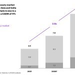 O Sudeste Asiático (SEA) e a Índia têm um potencial de mercado de USD 7,6 bilhões até 2026, com uma taxa de crescimento anual composta (CAGR) projetada de 11% entre 2021 e 2031 (Fonte: Luxasia)