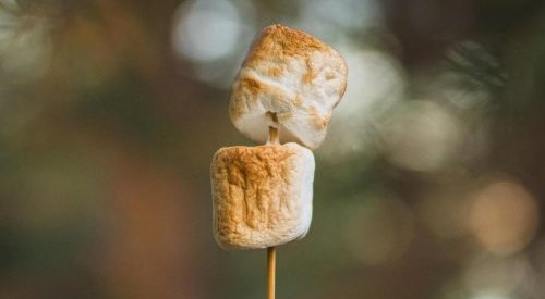 Perfumaria gourmand vive nova era com fragrâncias complexas e multissensoriais