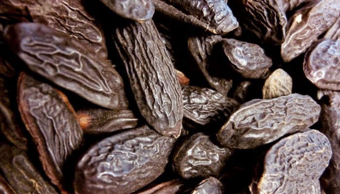 Fragrâncias: O Tonka Bean CO₂ Absolute completa a linha sustentável da LMR