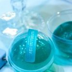 Protótipo apresentado pela Embacaps na útlima FCE Cosmetique