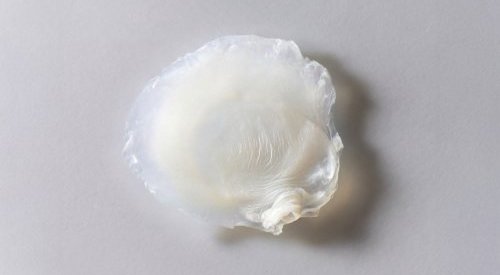 Avon desenvolve primeira pele bioimpressa que reproduz efeitos da menopausa