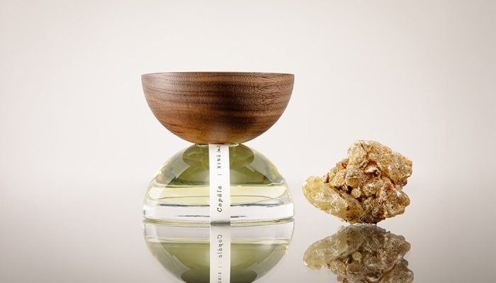 Estée Lauder faz investimento minoritário na marca mexicana de fragrâncias Xinú