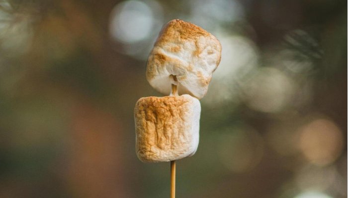 Perfumaria gourmand vive nova era com fragrâncias complexas e multissensoriais