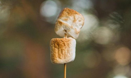 Perfumaria gourmand vive nova era com fragrâncias complexas e multissensoriais