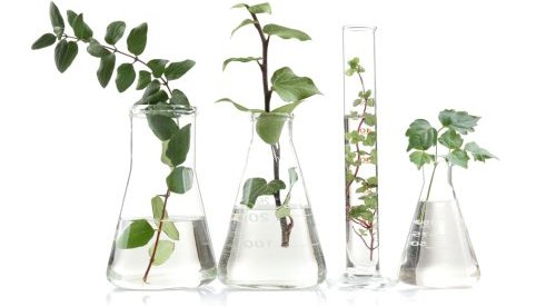 Evonik anuncia novo distribuidor para a linha de ativos Novachem na Argentina