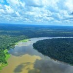 Standing Forest conecta a biodiversidade amazônica à capacidade científica e tecnológica da BASF (Foto: BASF)