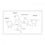 Fig. 4: Estrutura de Teflose® (60% de ramnose)