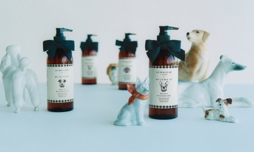 Jo Malone estreia no mercado de cuidados para pets com a WildWash