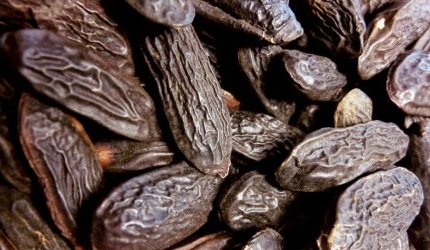 Fragrâncias: O Tonka Bean CO2 Absolute completa a linha sustentável da LMR