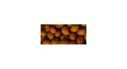 Beraca to launch natural smoothing ingredient for curly hair at in-cosmetics 2016