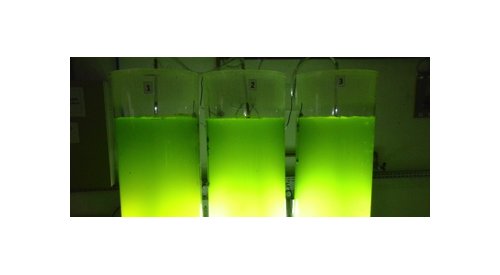 The Boticário Group wants to produce colours from microalgae