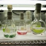 © BiotechMarine e Heos Marine