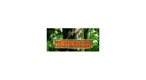 “The Amazon's biodiversity is a strategic area of research,” Eder Leopoldo Ramos, Symrise