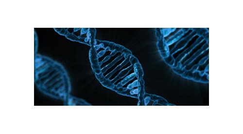De que forma a genômica personalizada e a epigenética podem ser úteis à cosmetologia?