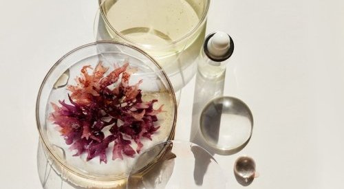 Givaudan revela Gravityl, um ingrediente marinho para o contorno facial
