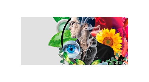 Global beauty trends 2018