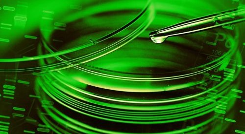 Apoena Biotech desenvolve ativos biotecnológicos para cosméticos