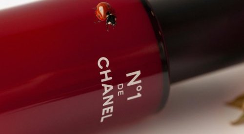Chanel lança N°1, linha de beleza com produtos naturais e embalagens ecológicas