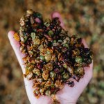 Ziel reaproveita resíduos das indústrias agrícola e vinícola, como casca da uva, semente da maçã e café verde