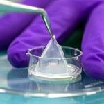 Pele humana é reconstruída a partir de fragmentos de pele descartados em cirurgia plástica