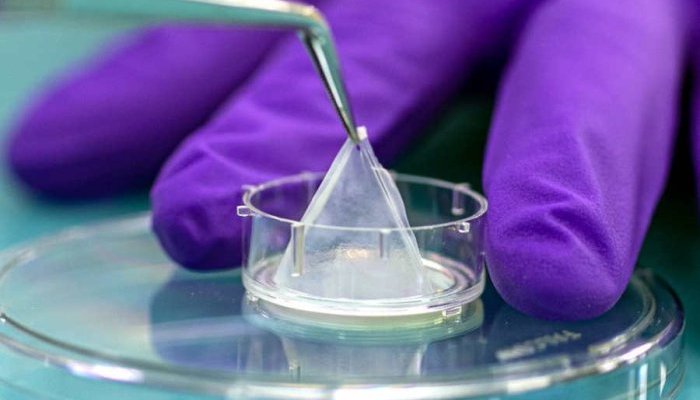 EPISKIN quer tornar métodos alternativos de testes uma realidade no Brasil